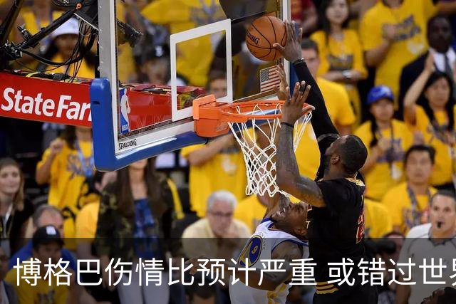 博格巴伤情比预计严重 或错过世界杯到明年才复出