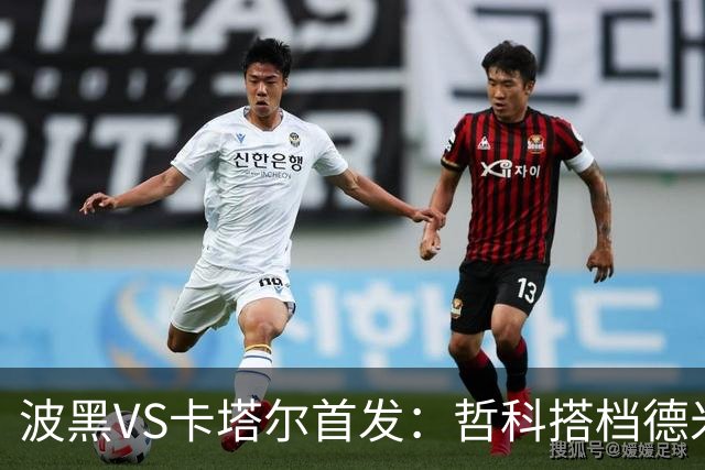 波黑VS卡塔尔首发：哲科搭档德米罗维奇 科拉希纳茨出战