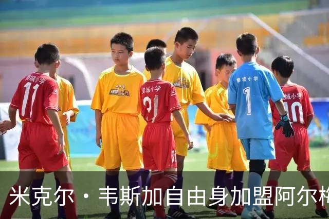 米克尔·韦斯加自由身加盟阿尔梅里亚：经验与年轻的碰撞，西甲新赛季的战术新篇章